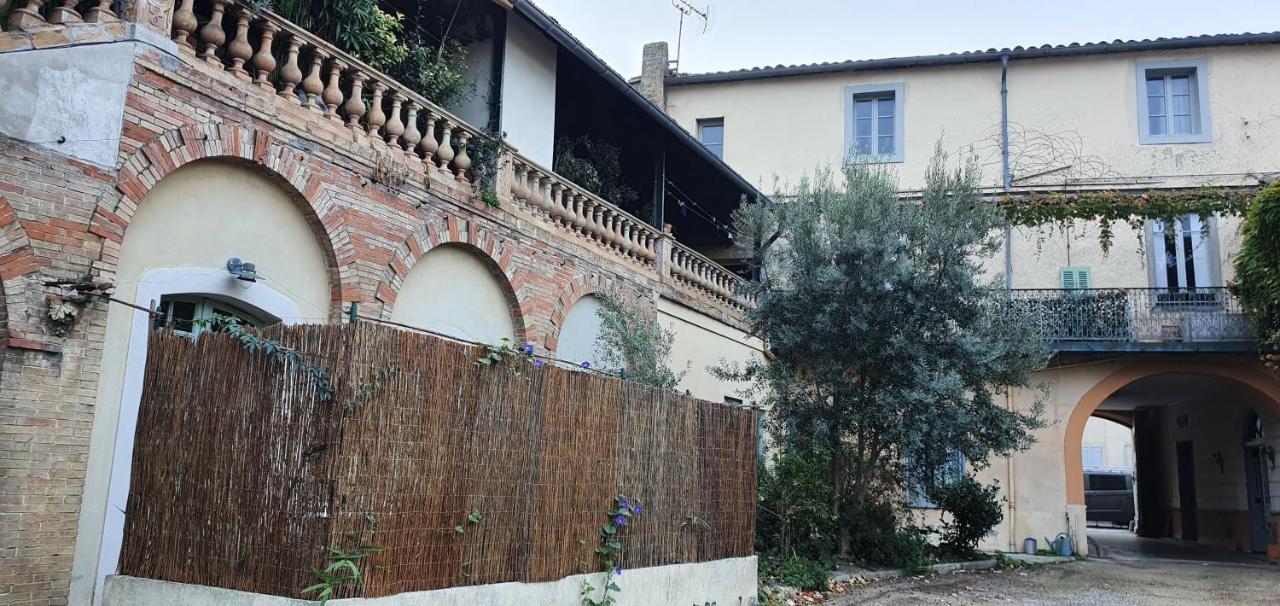 Un Petit Coin De France : A Cote De La Cite Medievale Apartment Carcassonne Exterior foto